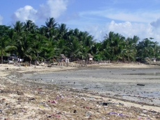 KIRIBATI Island Scene Litter Sep22