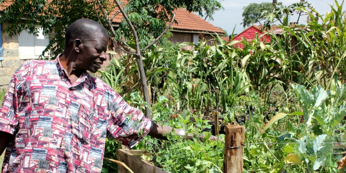 AKFC | Rural Development, Kenya