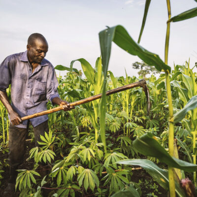 Project: Design and Deliver
Caption: Zakeo Anyama a member of the community design team works on farmland donated to community.
Location: Christopher Obuni's Farmland, Moyo, Uganda