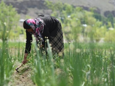 Women-Seed-Farmers_10-2-740x494